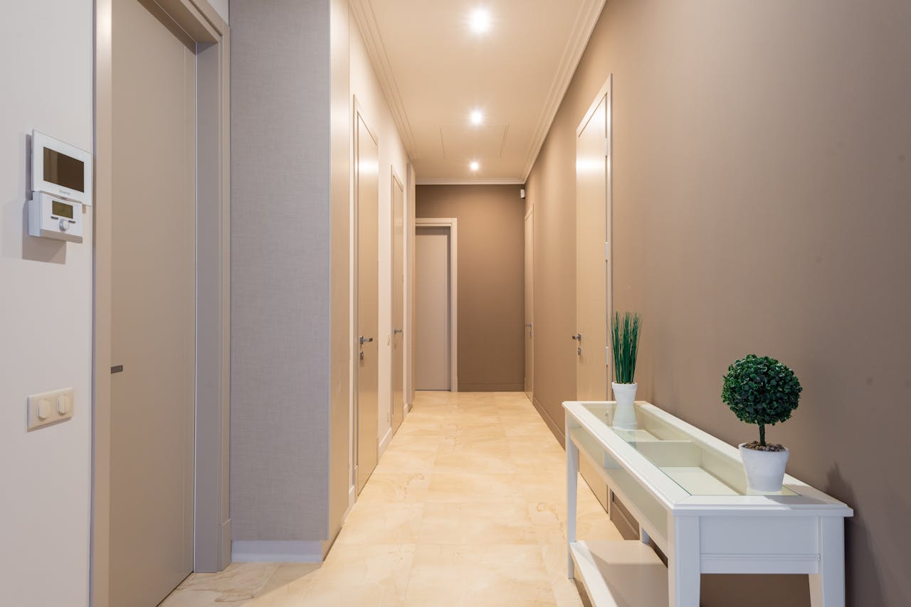 Spacious and modern hallway with decorative plants and minimalist design, perfect for residential inspiration.